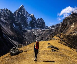 The Ultimate Guide to Booking Your Dream Trek Online